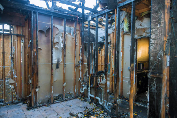 Professional Soot Cleanup technician working in Chandler, TX